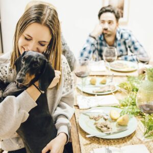 10 restaurantes para ir con perro en Denia