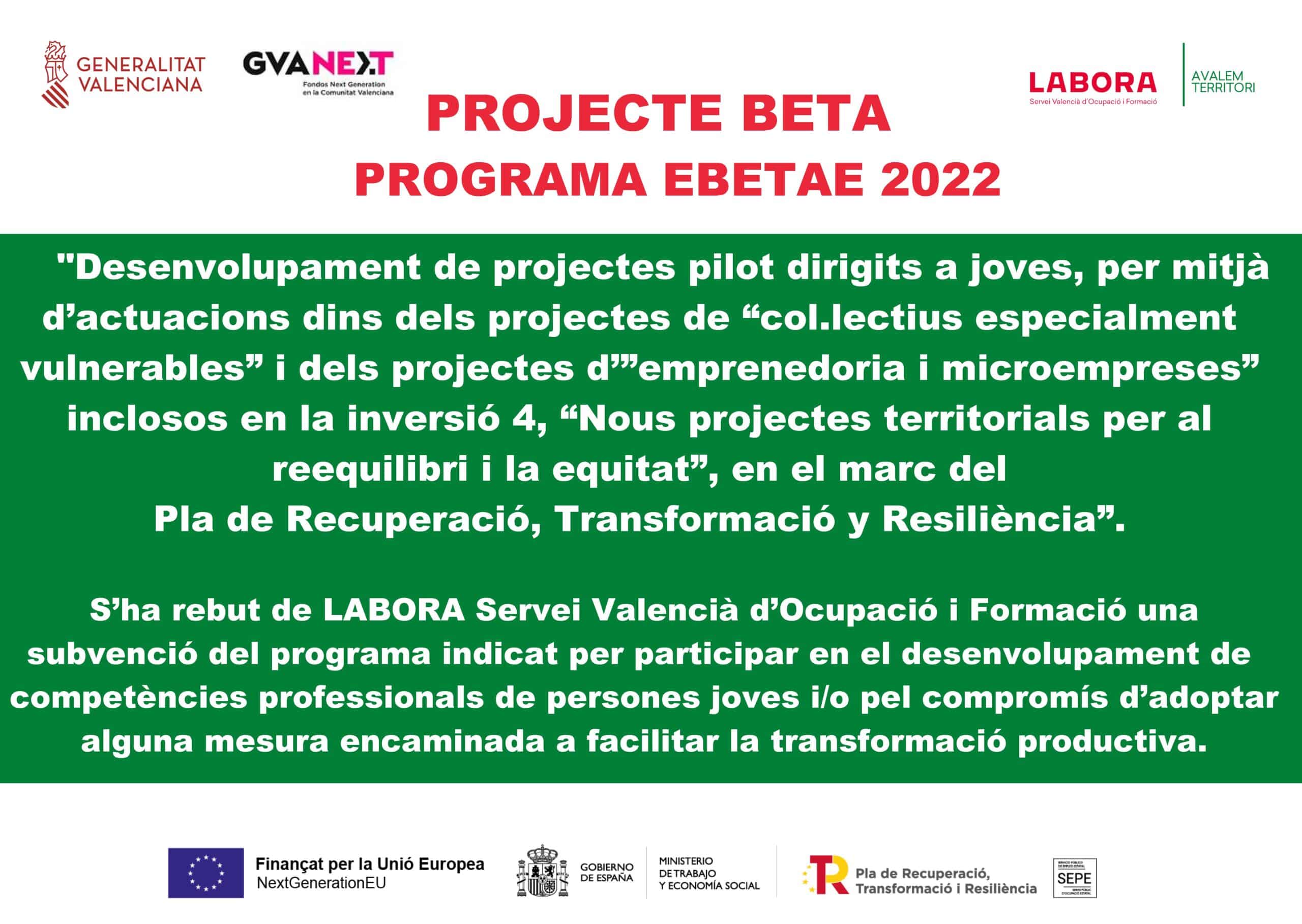 cartel EBETAE valenciano nuevo